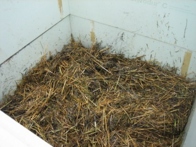 IMG_6506.JPG (159.84 KiB) 26969 mal betrachtet Stroh Kohle Steinmehl Urin Wasser gemischt