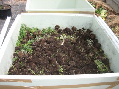 IMG_6513.JPG (142.79 KiB) 26969 mal betrachtet Auffüllen mit Pflanzenmaterial
