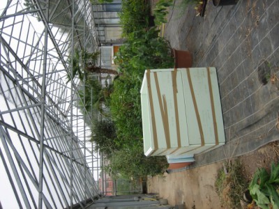 IMG_6505.JPG (160.72 KiB) 25366 mal betrachtet Kompostmeiler im Glashaus